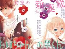 灵域传说漫画封面